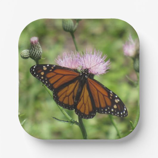 Monarch Butterfly auf Pink Thistle Paper Tellern Pappteller (Vorderseite)
