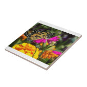 Monarch Butterfly auf rosa Marigold Fliese (Seite)