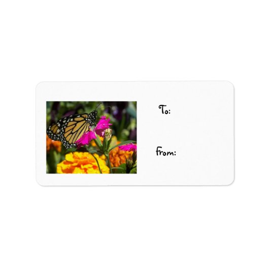 Monarch Butterfly auf rosa Marigold-Label Adressaufkleber (Vorne)