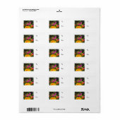 Monarch Butterfly auf rosa Marigold-Label Adressaufkleber (Vorne)