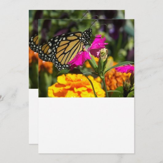 Monarch Butterfly auf rosa Marigold Mitteilungskarte (Vorne/Hinten)