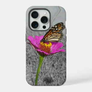 Monarch Butterfly auf rosa Zinnie iPhone 15 Pro Hülle