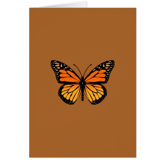 Monarch Butterfly auf Siena (Vorne)