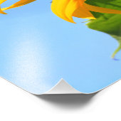 Monarch Butterfly auf Sonnenblume Fotodruck (Ecke)