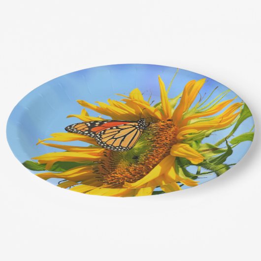 Monarch Butterfly auf Sonnenblume Pappteller (Schrägansicht)