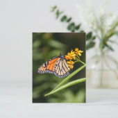 Monarch Butterfly auf tropischen Milkweed-Blume Postkarte (Stehend Vorderseite)