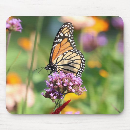 Monarch Butterfly auf Verbena Mousepad (Vorne)