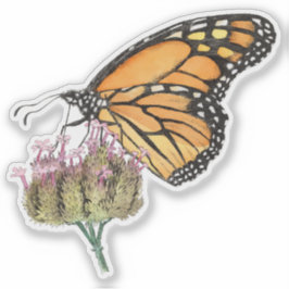 Monarch Butterfly auf Verbena Wasserfarbe und Tint Aufkleber