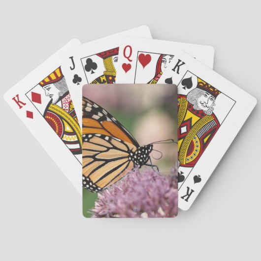 Monarch Butterfly auf Wildblume Spielkarten (Rückseite)