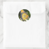 Monarch Butterfly-Aufkleber Runder Aufkleber (Tasche)