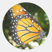 Monarch Butterfly-Aufkleber Runder Aufkleber (Vorderseite)