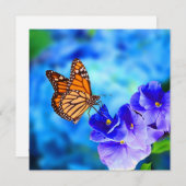 Monarch Butterfly bedrohte Wildlife Hi-Def-Karte (Vorne/Hinten)
