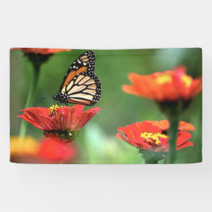 Monarch Butterfly-Bestäubung Banner