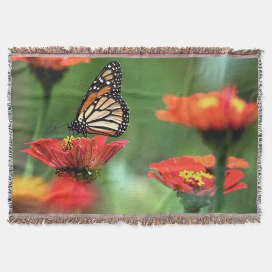 Monarch Butterfly-Bestäubung Decke (Vorderseite)