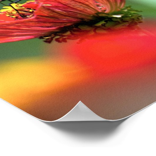 Monarch Butterfly-Bestäubung Poster (Ecke)