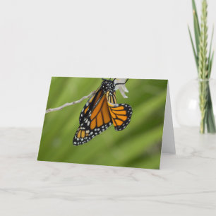 Monarch Butterfly Blank Grußkarte Karte