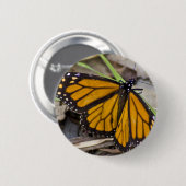 Monarch Butterfly Button (Vorne & Hinten)