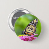 Monarch Butterfly Button (Vorne & Hinten)