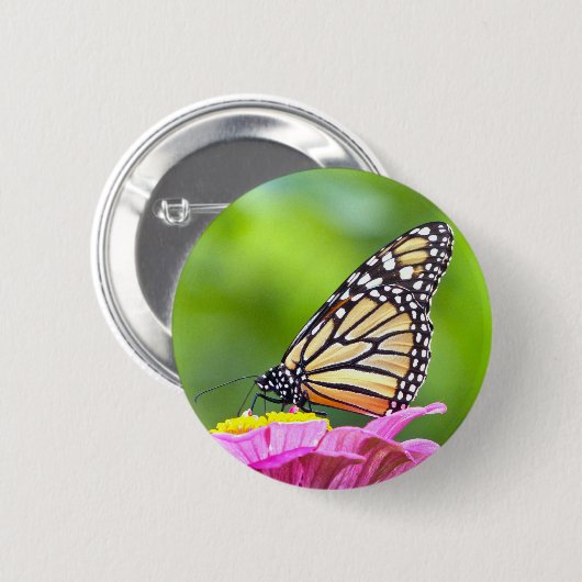 Monarch Butterfly Button (Vorne & Hinten)