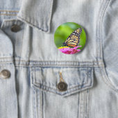 Monarch Butterfly Button (Beispiel)