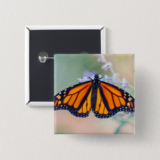 Monarch Butterfly Button (Vorne & Hinten)