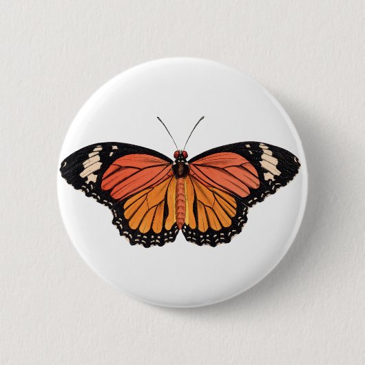 Monarch Butterfly Button (Vorderseite)