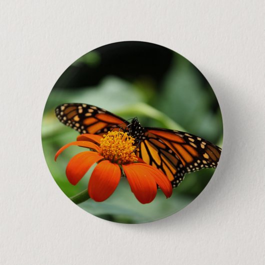 Monarch Butterfly Button (Vorderseite)