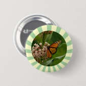 Monarch Butterfly Button (Vorne & Hinten)