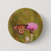 Monarch Butterfly Button (Vorderseite)