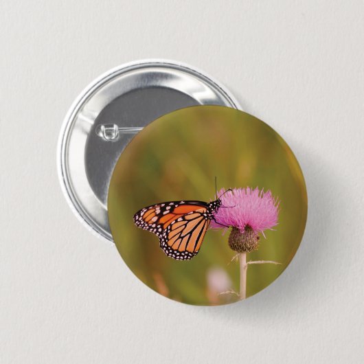 Monarch Butterfly Button (Vorne & Hinten)
