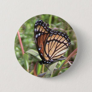 Monarch Butterfly Button