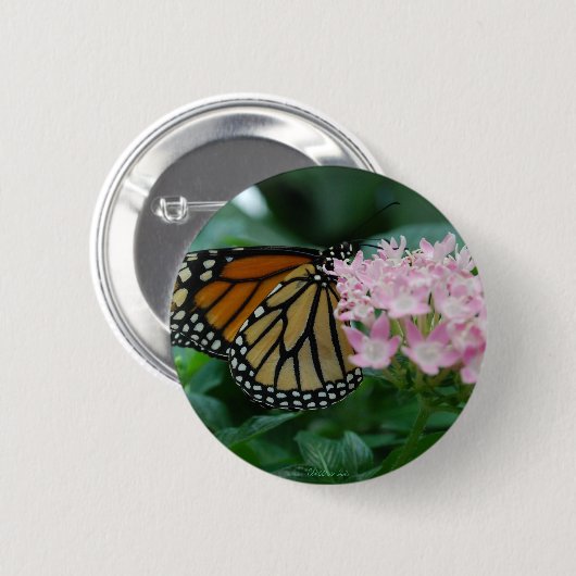 Monarch Butterfly Button Button (Vorne & Hinten)