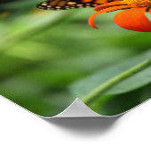 Monarch Butterfly Canvas Print Poster (Ecke)