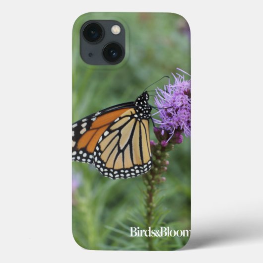 Monarch Butterfly Case-Mate iPhone Hülle (Rückseite)