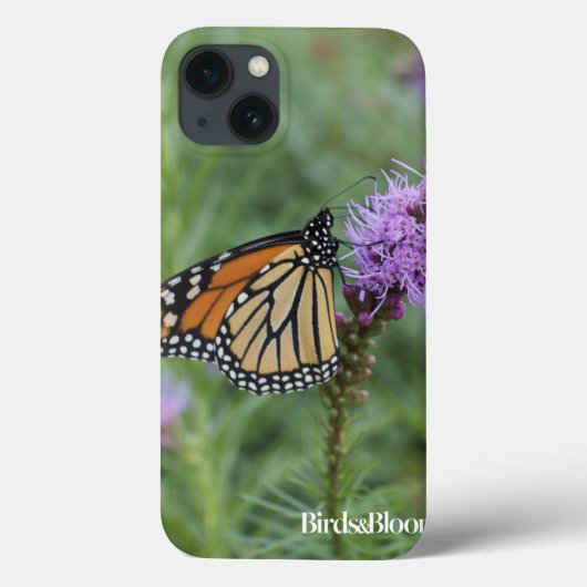 Monarch Butterfly Case-Mate iPhone Hülle (Rückseite)