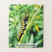 Monarch Butterfly Caterpillar on Swan Plant 56 Pcs Puzzle (Vertikal)