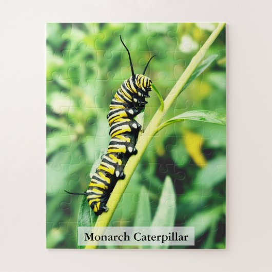 Monarch Butterfly Caterpillar on Swan Plant 56 Pcs Puzzle (Vertikal)