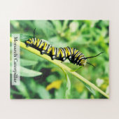 Monarch Butterfly Caterpillar on Swan Plant 56 Pcs Puzzle (Horizontal)