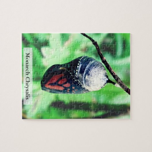 Monarch Butterfly Chrysalis Before Hatching 110Pcs Puzzle (Horizontal)