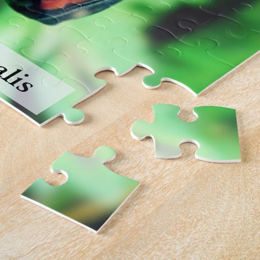 Monarch Butterfly Chrysalis Before Hatching 110Pcs Puzzle (Seite)