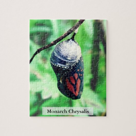 Monarch Butterfly Chrysalis Before Hatching 110Pcs Puzzle (Vertikal)