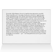 Monarch Butterfly (Colorized) note card (Innenansicht Horizontal (Oben))