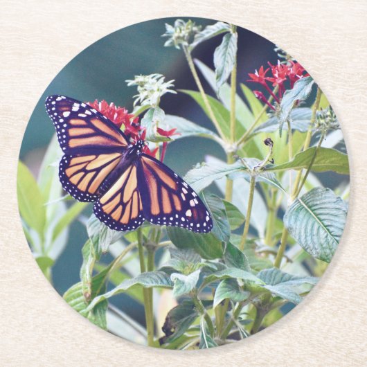Monarch Butterfly Custom Party Untersetzer (Vorderseite)