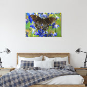 Monarch Butterfly | Danaus Plexippus Leinwanddruck (Insitu (Schlafzimmer))