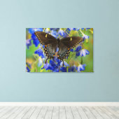 Monarch Butterfly | Danaus Plexippus Leinwanddruck (Insitu (Holzboden))