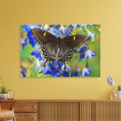 Monarch Butterfly | Danaus Plexippus Leinwanddruck (Insitu (Wohnzimmer))