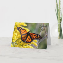 Monarch Butterfly Danke, dass du eine Grußkarte ha