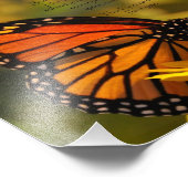 Monarch Butterfly "Danke Mutter" Foto drucken (Ecke)