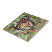 Monarch Butterfly Decorative Tile Fliese (Seite)