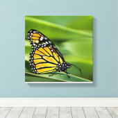 Monarch Butterfly Design Leinwand Print (Insitu (Holzboden))